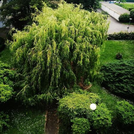 Illzach P' Ti Ecrin De Verdure מראה חיצוני תמונה