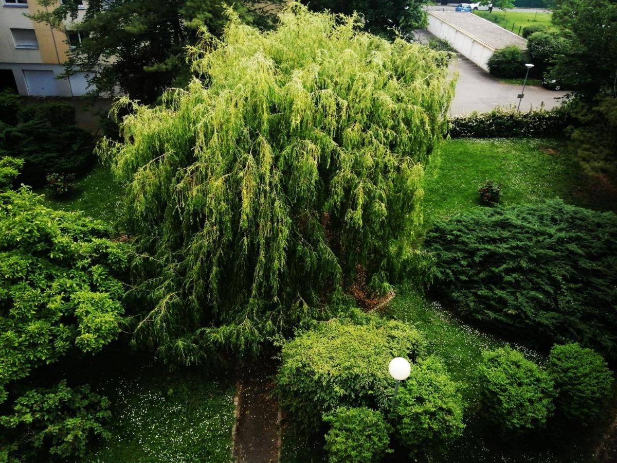 Illzach P' Ti Ecrin De Verdure מראה חיצוני תמונה